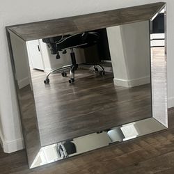 Mirrored Mirror 26x30