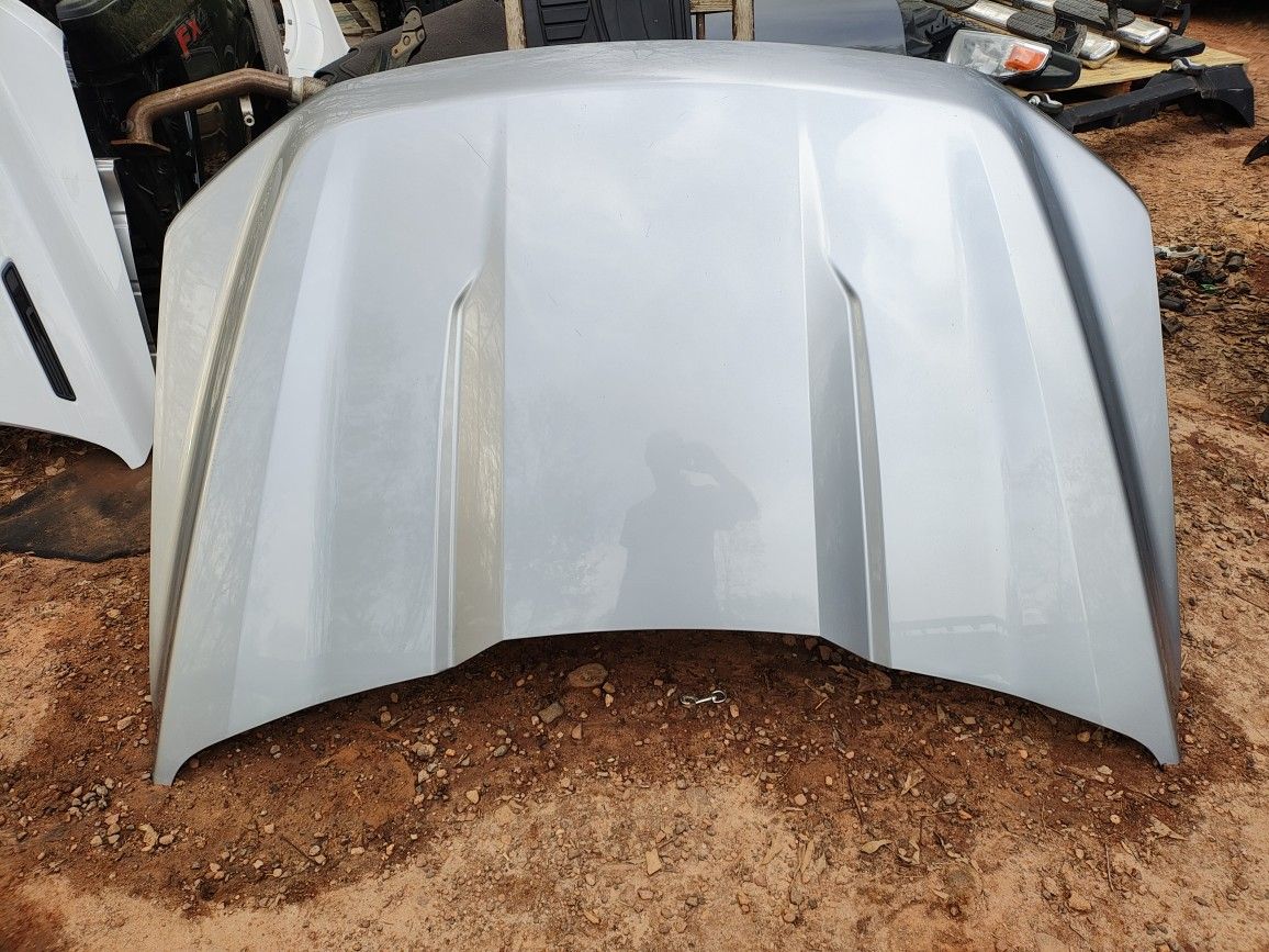 2021-20-25 F150 OEM Silver Hood