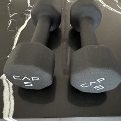 5 Pound Dumbbells 
