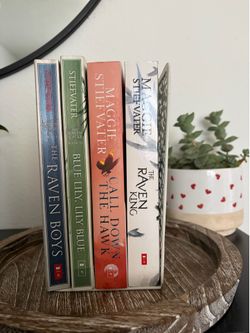 The Raven Boys books $20