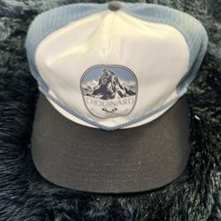 NEW Patagonia Baseball Hat Cap