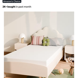 Twin Bed frame and 5 inch twin mattress