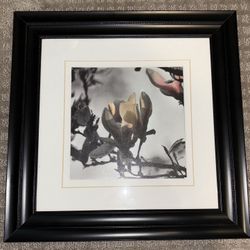 Framed Flower Photo Print