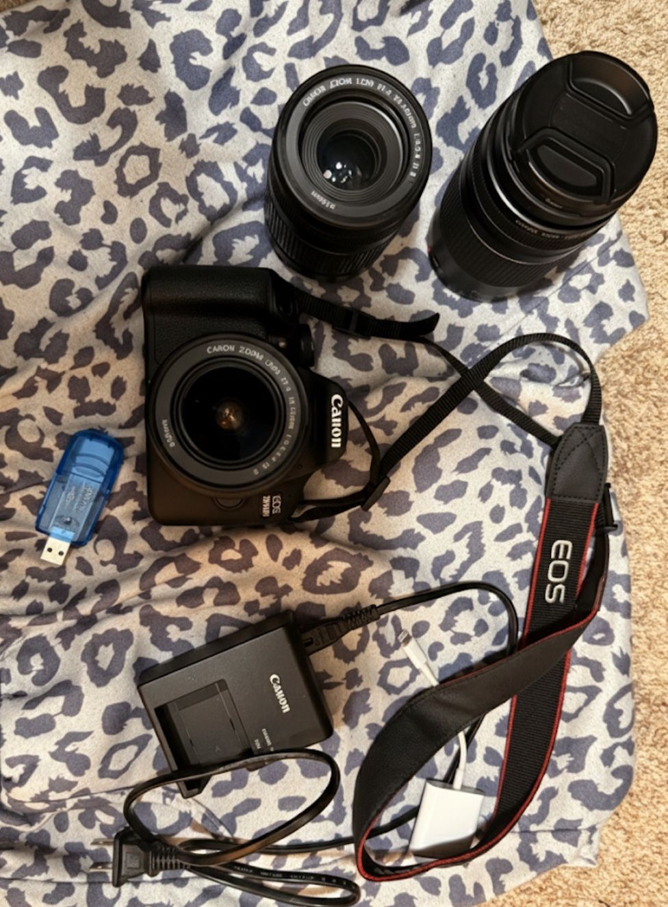 Canon EOS 2000D (Rebel T7) Pro Starter Kit - 3 LENSES! (18mm to 300mm Range)