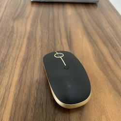 Wireless Mouse w/ USB Connector 