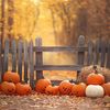 Hello Fall 