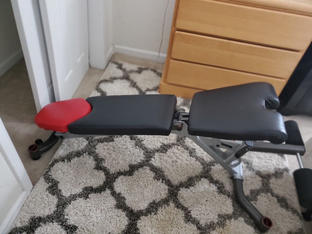 exercise bench