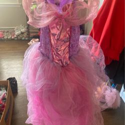 Princess Dress Costume Size Small 4-6 