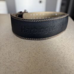 Weightlifting Belt