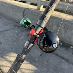ACCURATE Tern 400 with PHENIX Rod