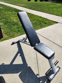 Workout Bench