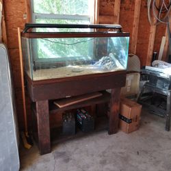 75 Gallon Tank