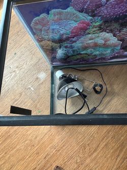 Tank with basking lamp