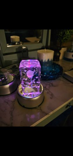 Multiple Led Light Bases