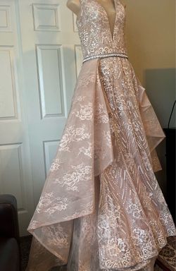 Blush Lace Beaded Gown with detachable skirt
