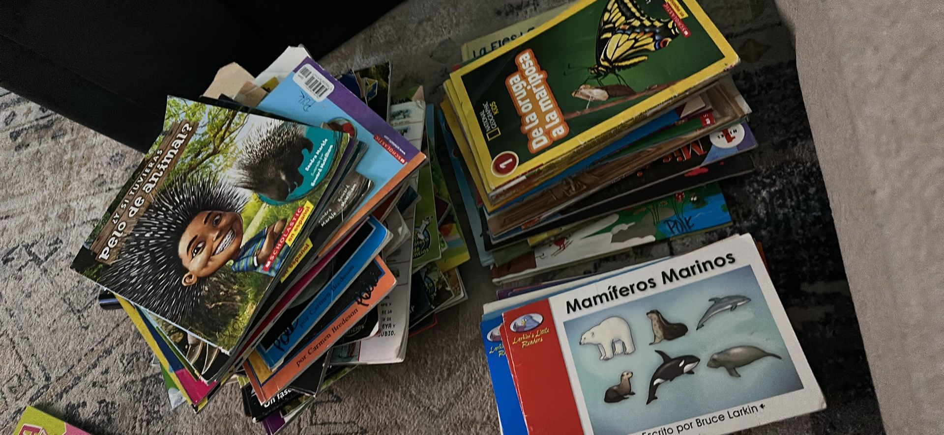 144 Books In Spanish, libros en español