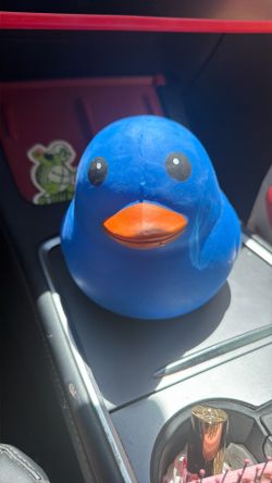 Sunny Days Blue Squishy Duck