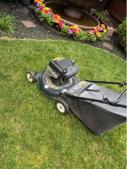 MTD mower runs great with powerful suction for leaves and trimming