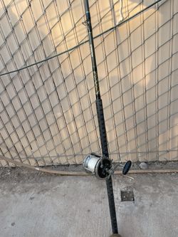 Penn Senator 6/0. & Salt Water Custom Rod