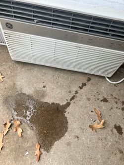 Window Unit $125