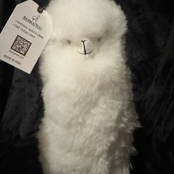 Stuffed Alpaca!