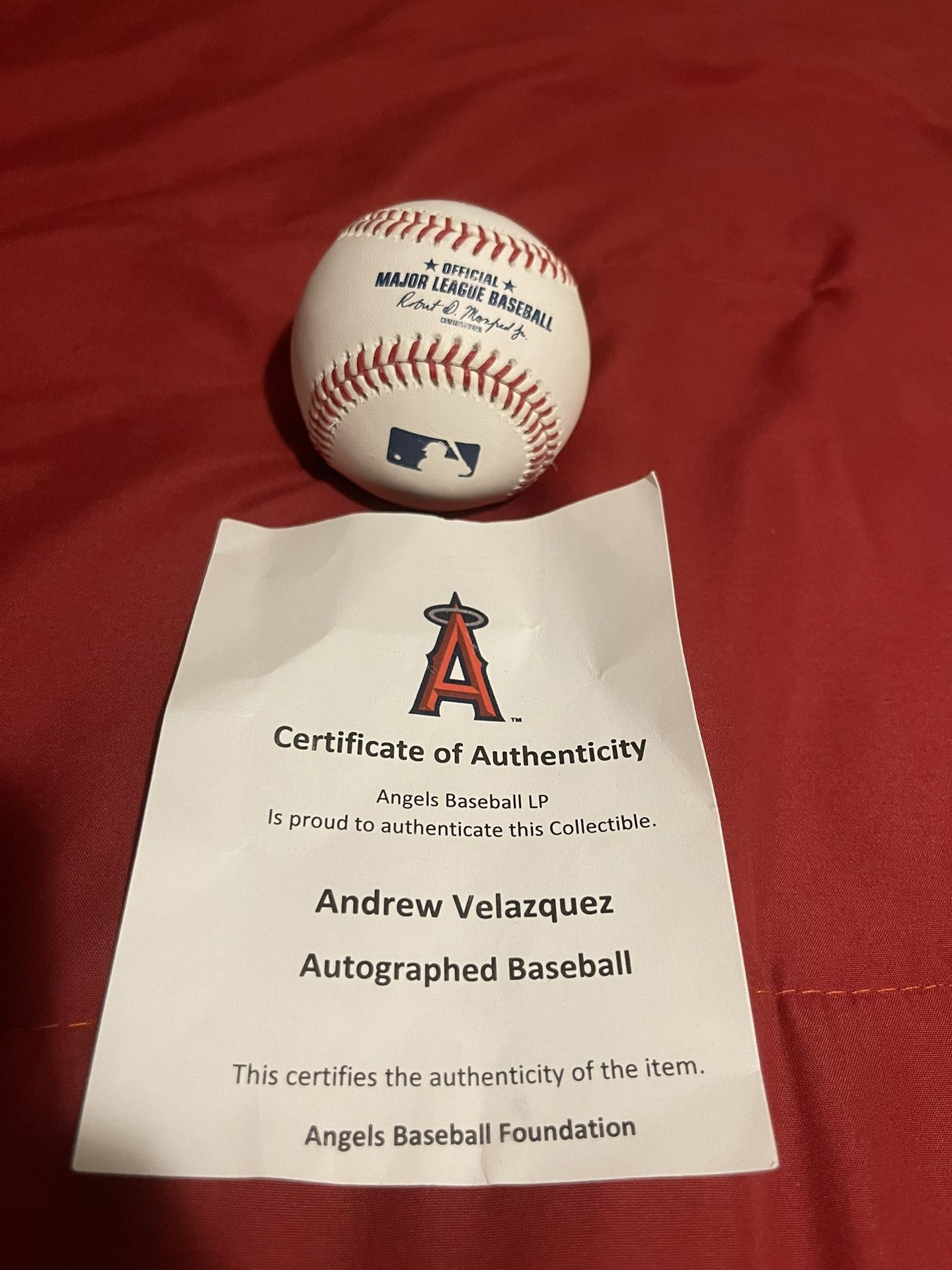 Autographed Andrew Velasquez (Angels Baseball)