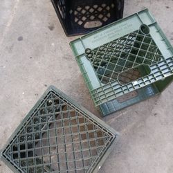 13" Milk Crates 3 For 20$