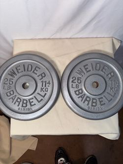 Two 25 lb Weight Plates