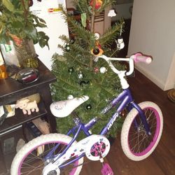 Girls Bicycle 20"