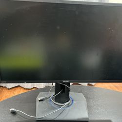Asus Computer Monitor 