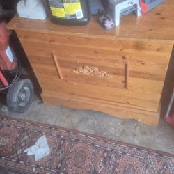Chest