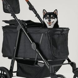 Stroller New