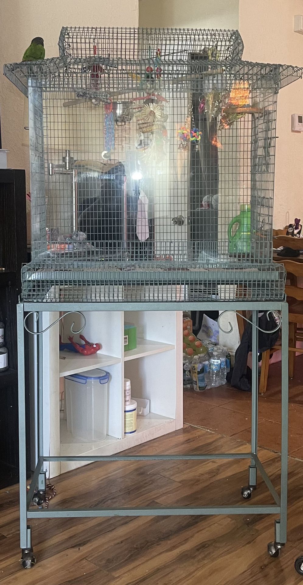 Cage And Accessories 