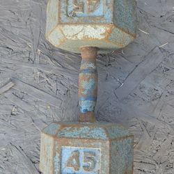 Pair of Dumbbells