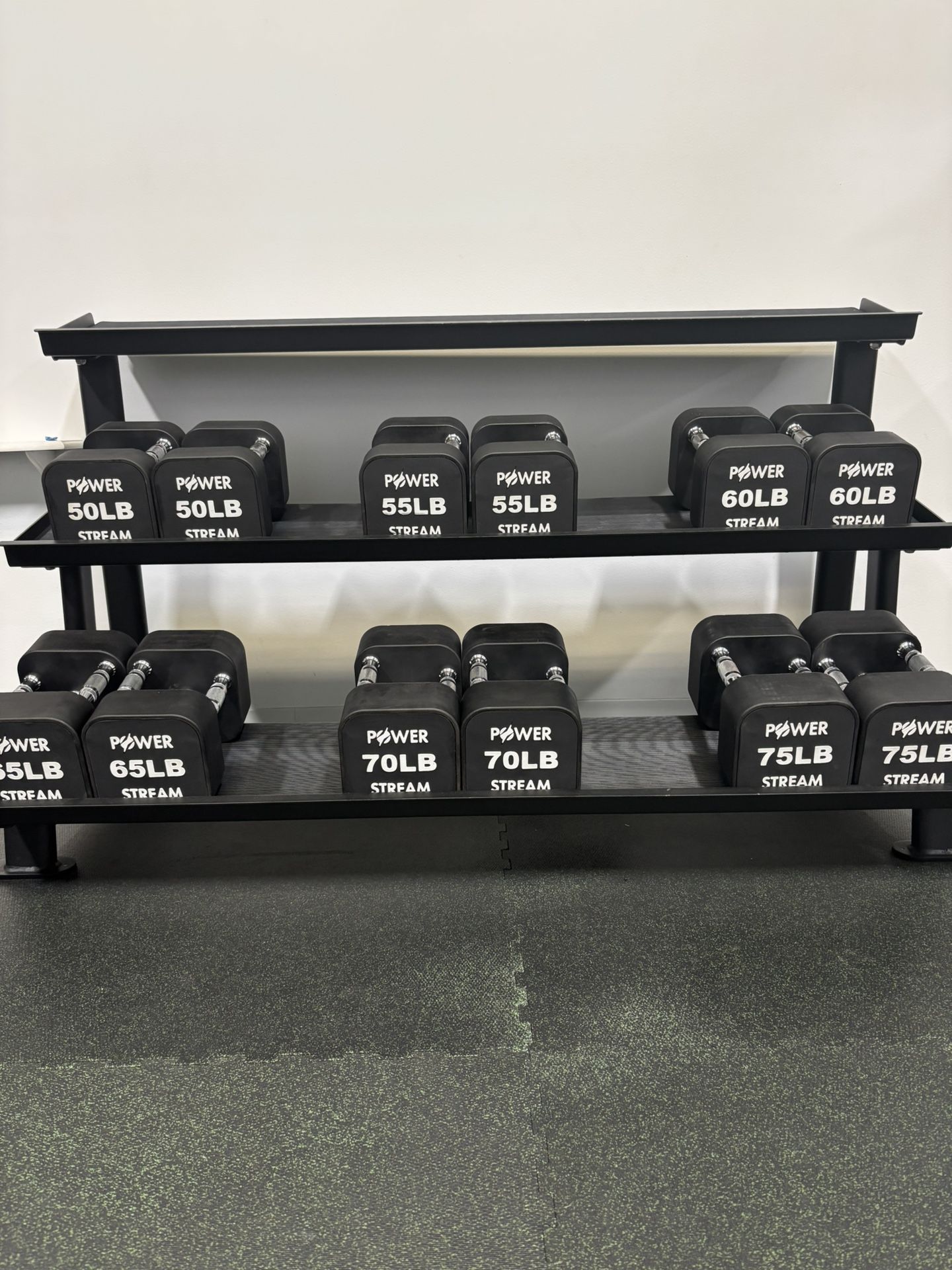 Barely Used Commercial Dumbbell Set