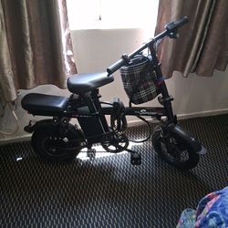 E Bike Sport