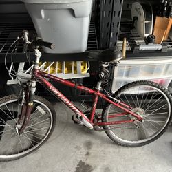 Specialized Bike 