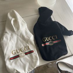 Toy Dog Black And White Gucci Sweatshirts-2