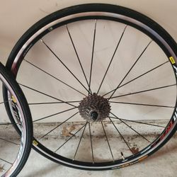 Mavic AKSIUM RACE wheels.