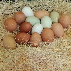Farm Fresh Free Range Eggs 3.00 Doz