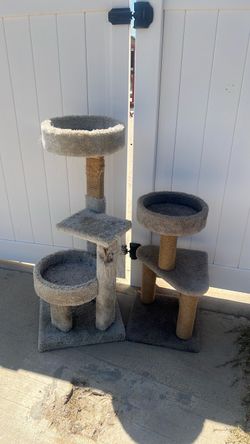 Cat Trees