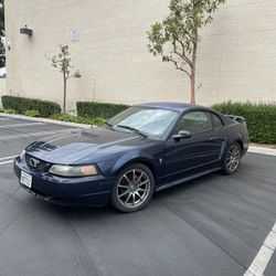 2001 Mustang 