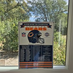 Bears Super Bowl XX  Picture.
