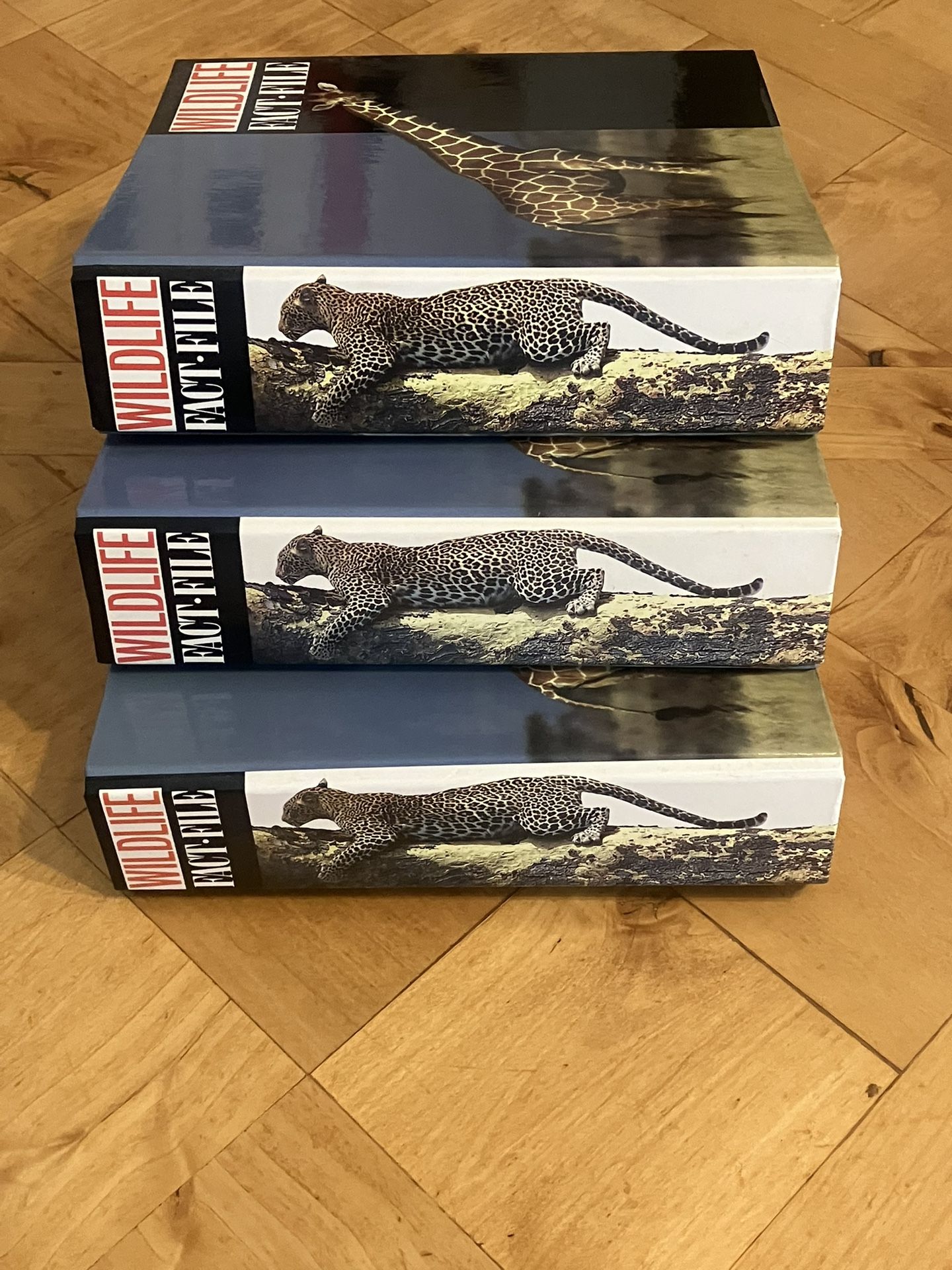3 Vintage Wildlife Fact File Binders