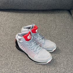 Adidas D Rose 3 Chicago