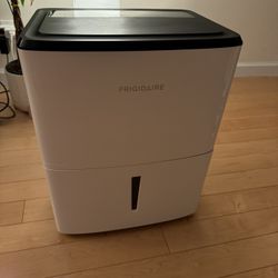Frigidaire 22 Pint Dehumidifier