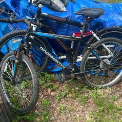 2 Mountain Bikes