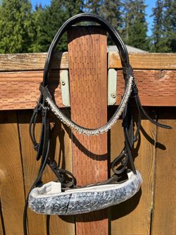 🩶🖤 Sparkly Black Bridle Cob