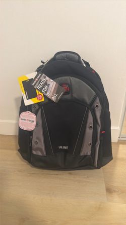 Swiss Gear laptop back pack