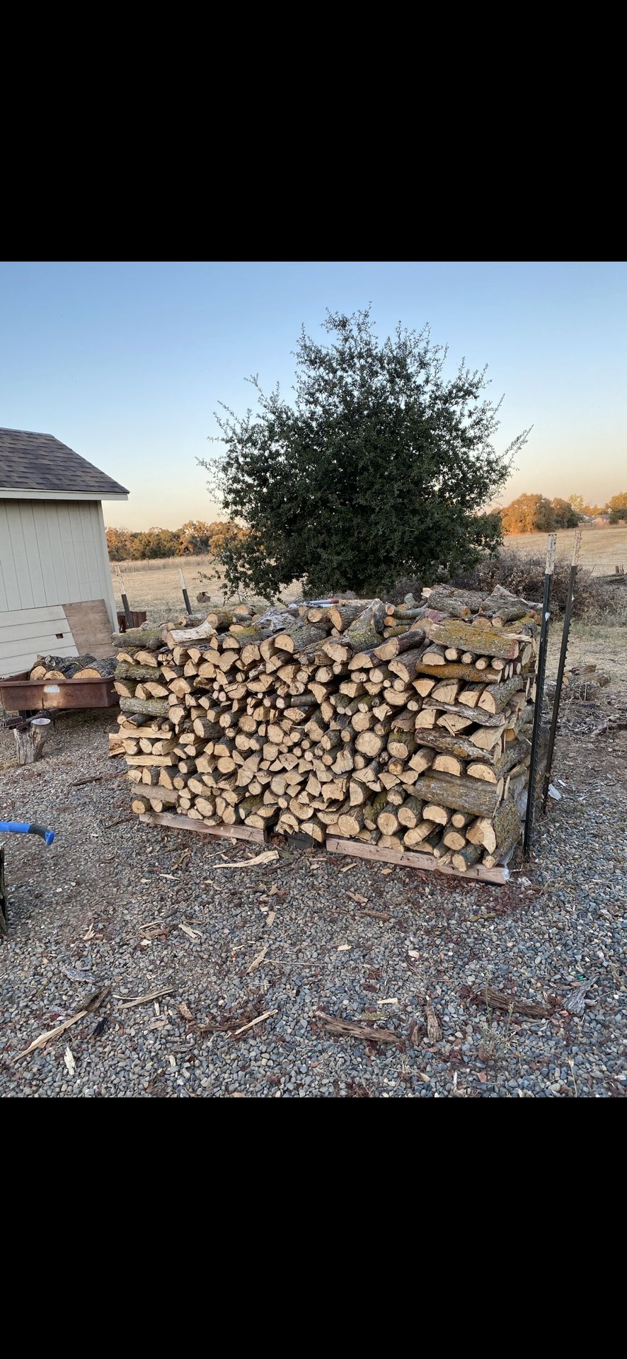 Oak Firewood